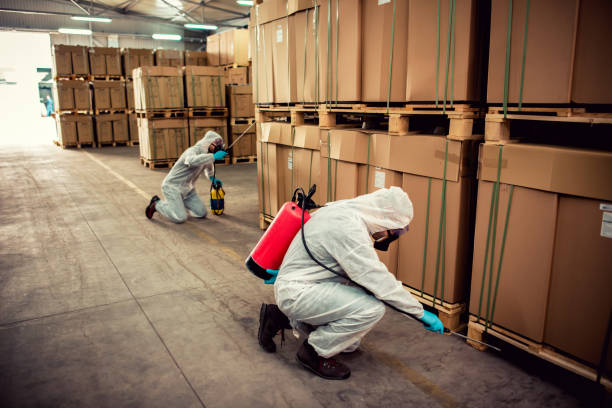 Best Exterminator Services  in Gas City, IN
