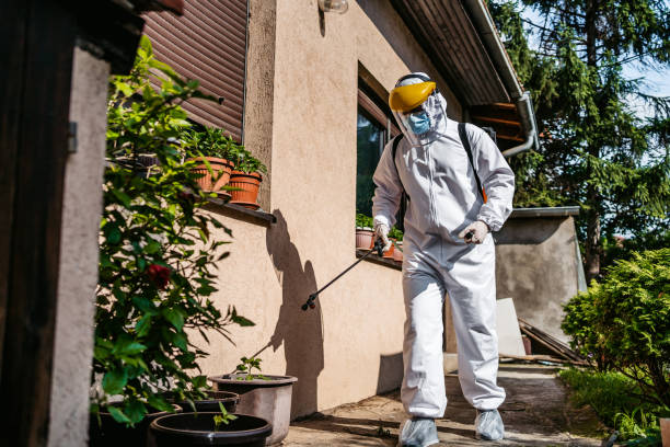 Best Cockroach Control Services  in Gas City, IN