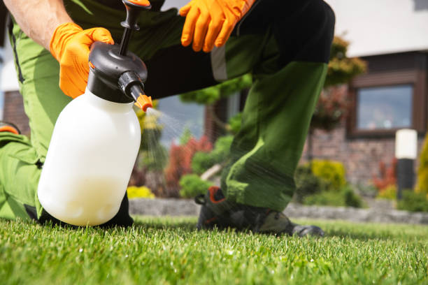 Best Affordable Pest Control Services  in Gas City, IN