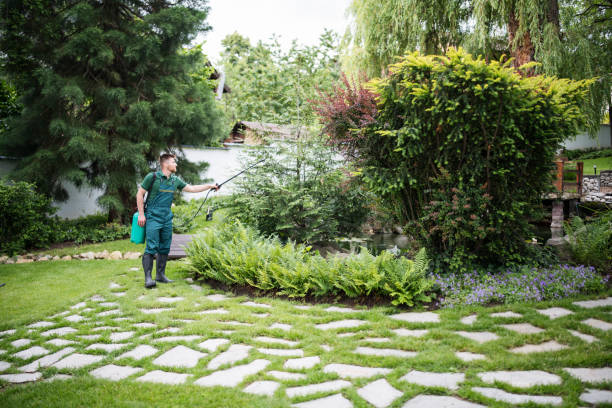 Best Ant Control Services  in Gas City, IN