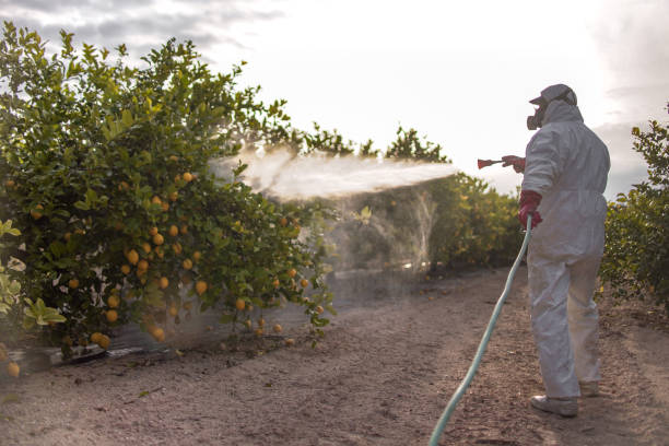 Best Flea Control Services  in Gas City, IN