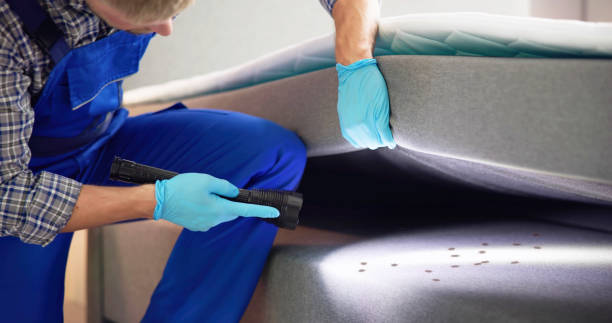 Best Bed Bug Extermination  in Gas City, IN