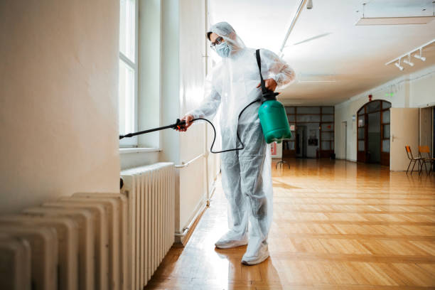 Best Termite Control Services  in Gas City, IN