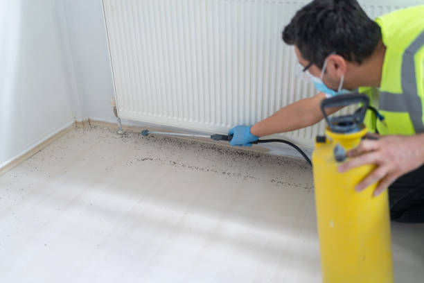 Best Pest Removal Services  in Gas City, IN