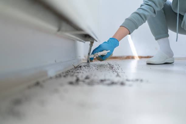 Reliable Gas City, IN Pest Control Solutions