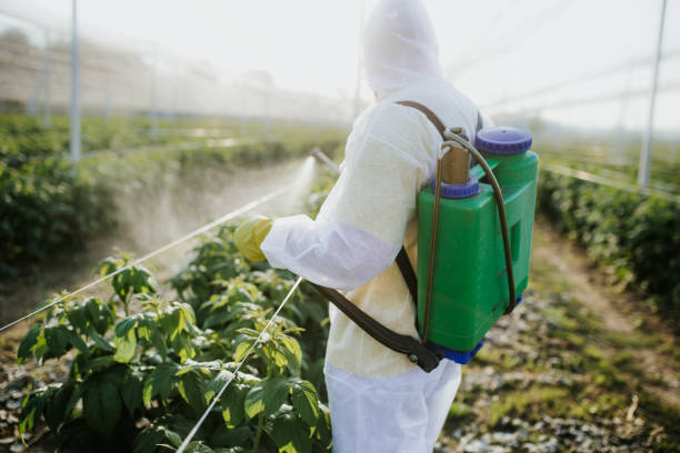 Best Mosquito Control Services  in Gas City, IN